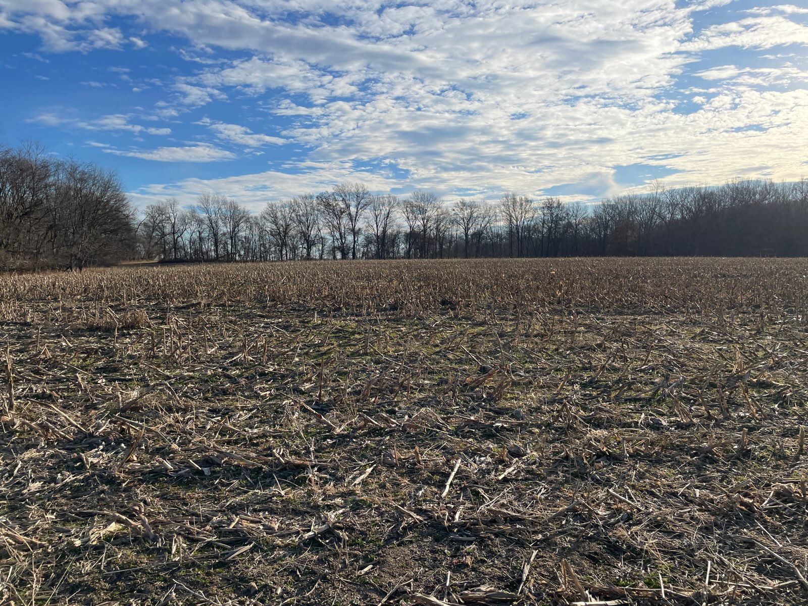 L284 Jasper Township, Illinois Pollard Realty