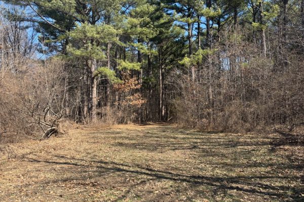 L-300 ~ 70 Acres – Co Rd 1020N, Fairfield, Illinois